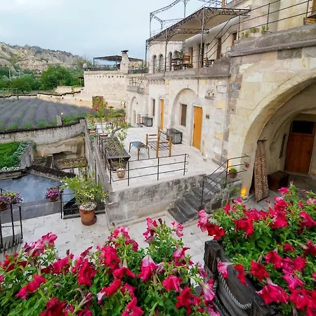 Design Cave Hotel