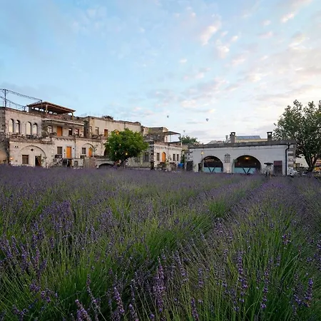 Design Cave Hotel